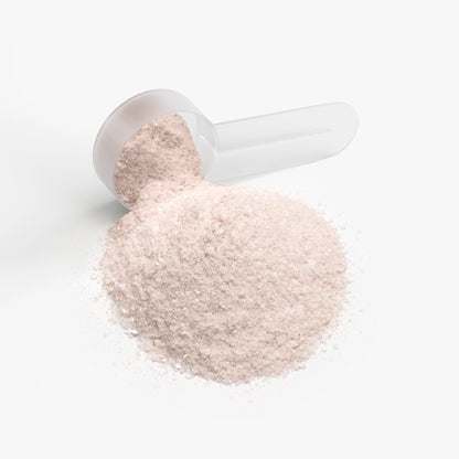 Burnout Berry Hydration Powder